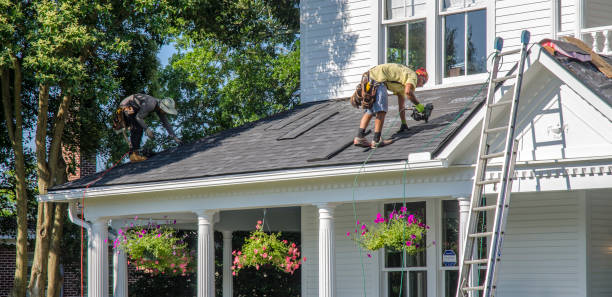 Best Gutter Installation and Repair  in Avoca, PA